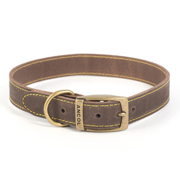 Ancol Timberwolf Leather Collar Sable – Size 7 (50 – 59 Cm)