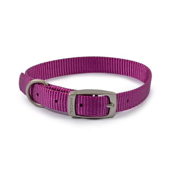 Ancol Viva Buckle Collar Purple – Size 3 (28 – 36 Cm)