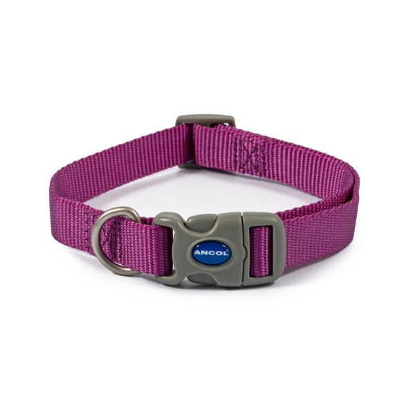 Ancol Viva Quick Fit Collar Purple – Size 2 – 5 (30 – 50 Cm)