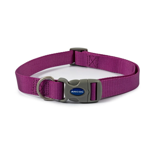 Ancol Viva Quick Fit Collar Purple – Size 5 – 9 (45 – 70 Cm)
