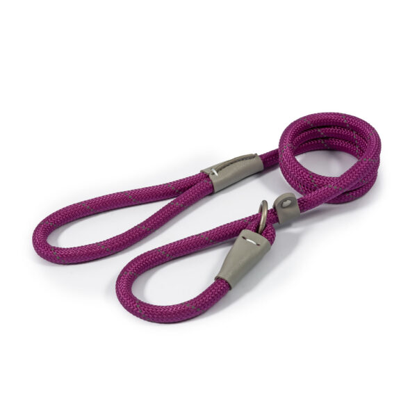 Ancol Viva Rope Slip Lead Purple – 150 Cm X 1.2 Cm