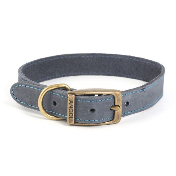 Ancol Timberwolf Leather Collar Blue – Size 5 (39 – 48 Cm)
