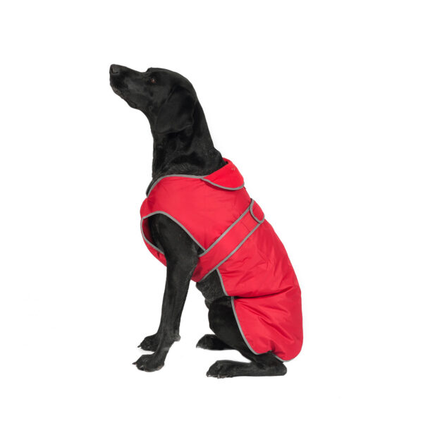 Ancol Stormguard Dog Coat Red – Small