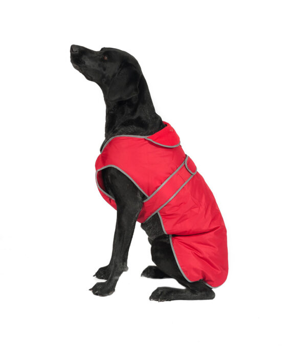 Ancol Stormguard Dog Coat Red – Xlarge
