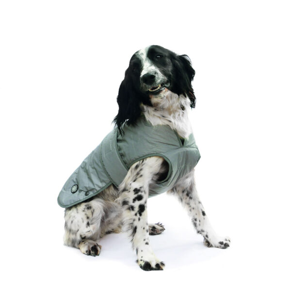 Ancol Ultimate Reflective Dog Coat – Medium