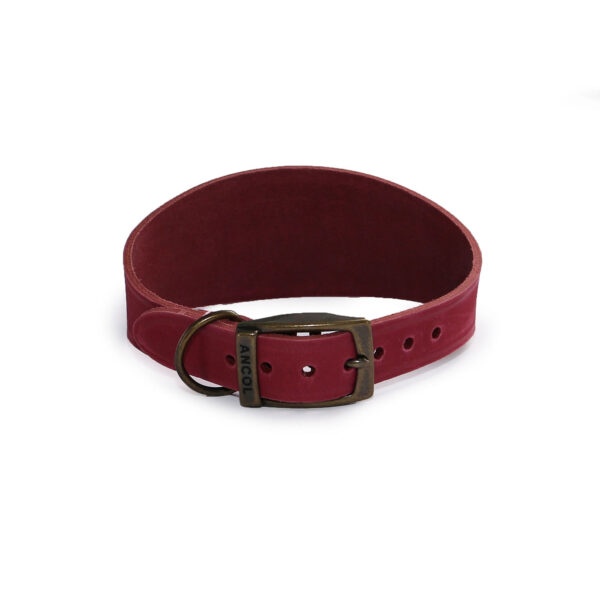Ancol Timberwolf Hound Collar Raspberry – Size 2 (30 – 34 Cm)