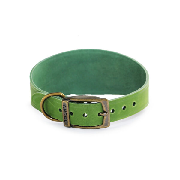 Ancol Timberwolf Hound Collar Green – Size 4 -5 (34 – 43 Cm)