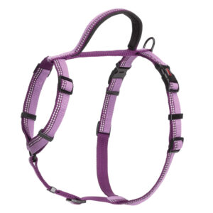 Halti Walking Harness Purple – Xsmall