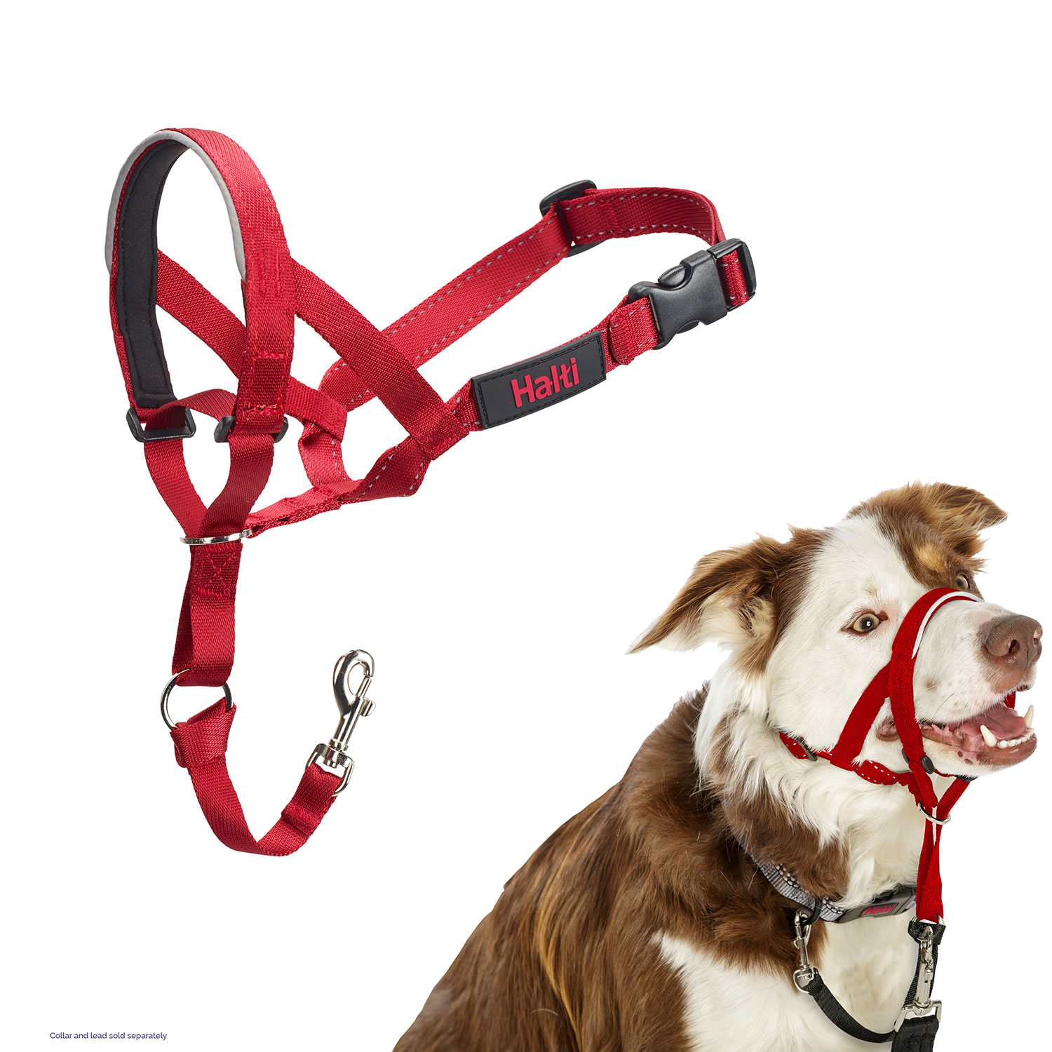 Halti Headcollar Red 2 Food4paws