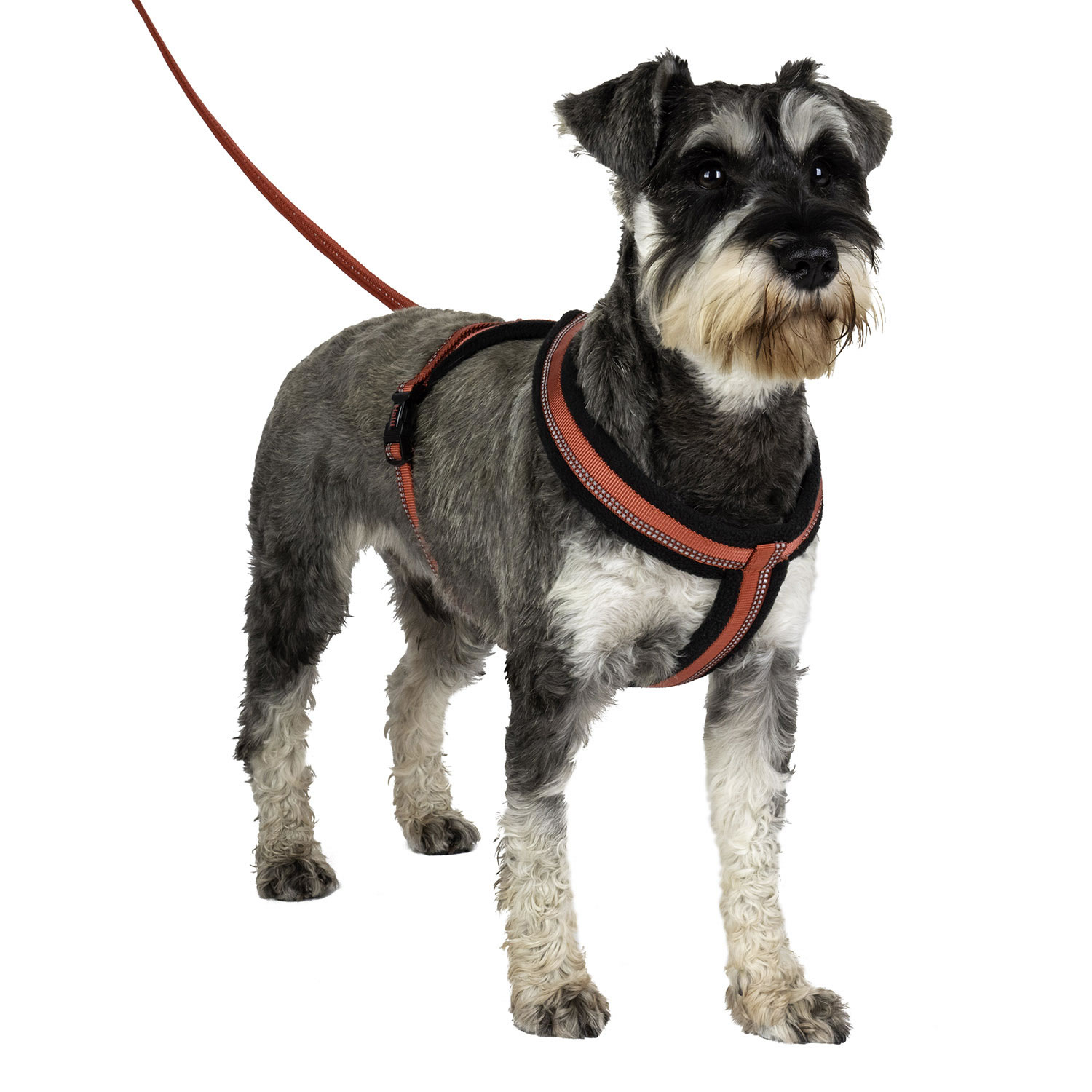 Halti Comfy Harness Xsmall Food4paws