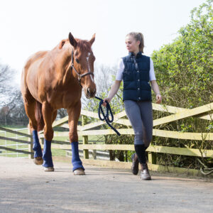Equilibrium Equi-Chaps Hardy Chaps – Small