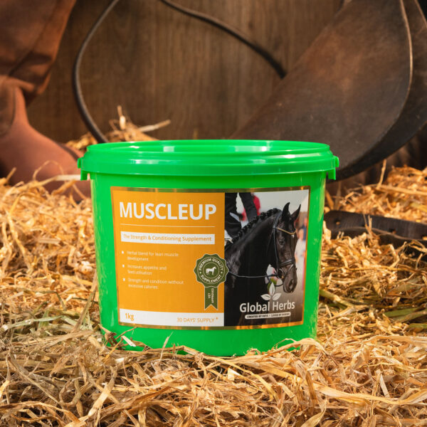 Global Herbs Muscleup Food4paws