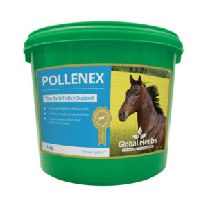 Global Herbs Pollenex – 1 Kg