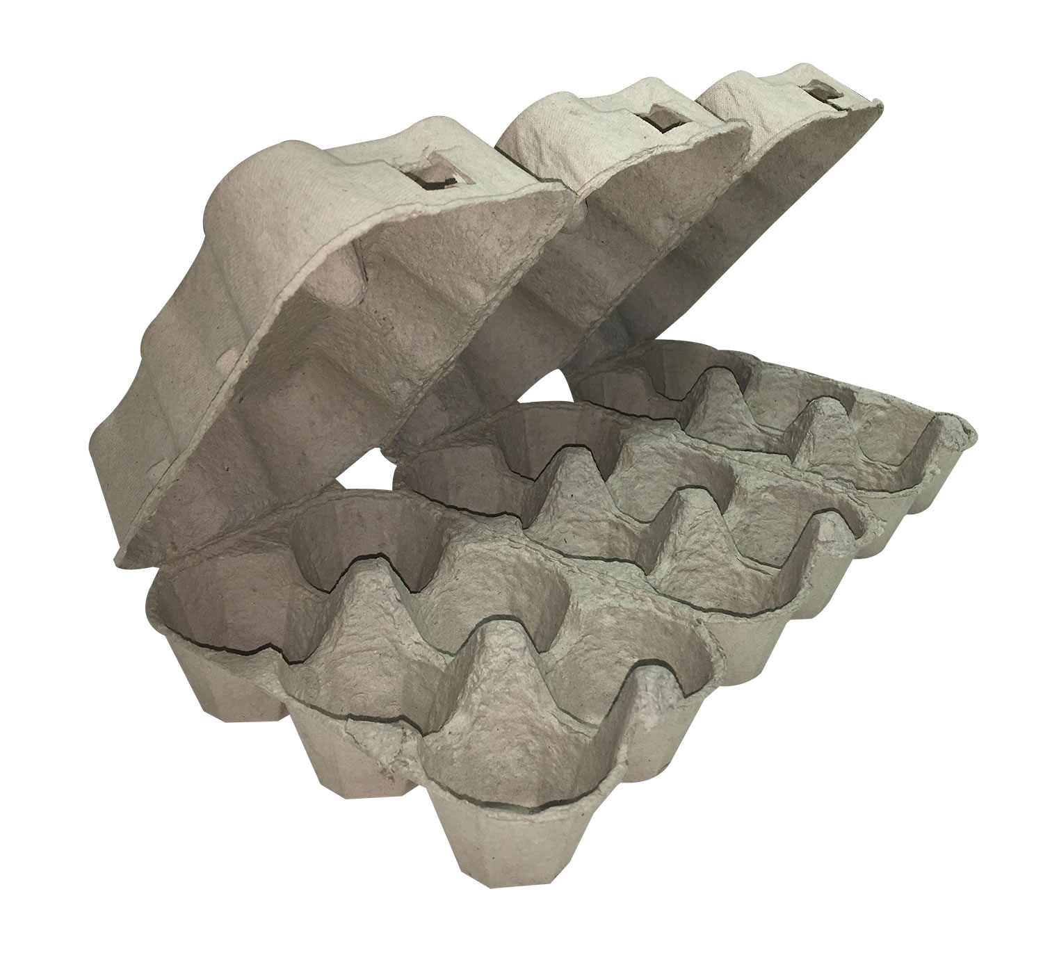 Eton Half Bundle Egg Box Plain 6 Pack Food4paws