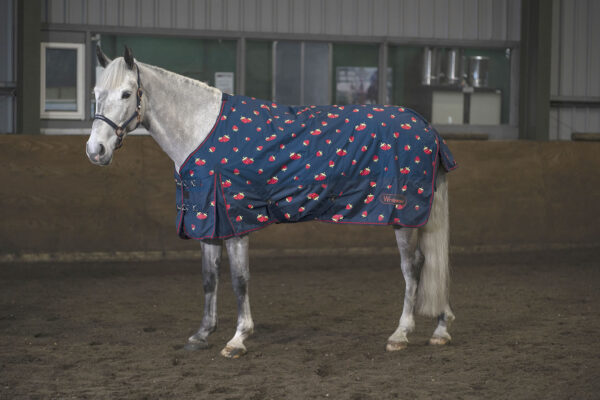 Whitaker Strawberry Turnout Rug 0Gm – 5′ 6″